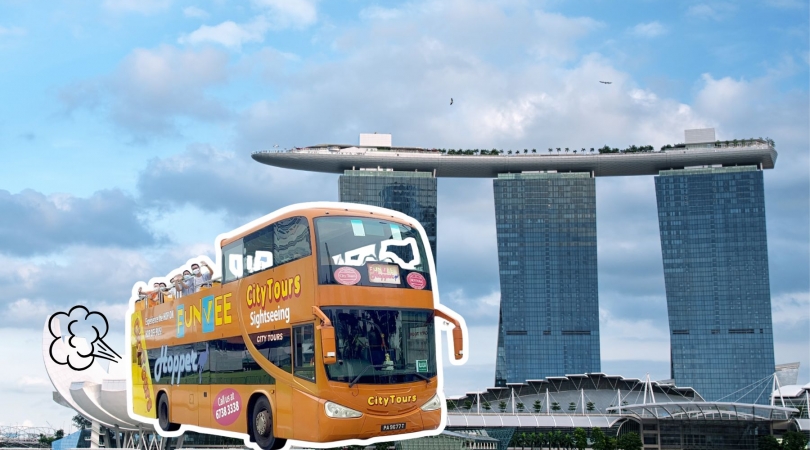 シンガポール｜予約｜＼年末年始 キャンペーン／華やかなサリーで街